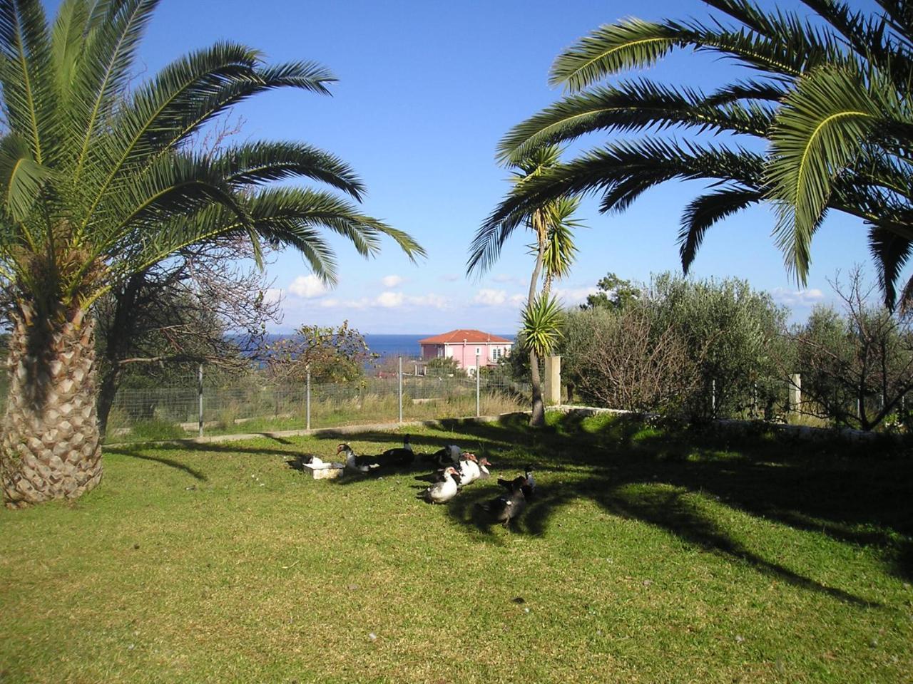 Nikolaos Studios Skala Skala  Buitenkant foto